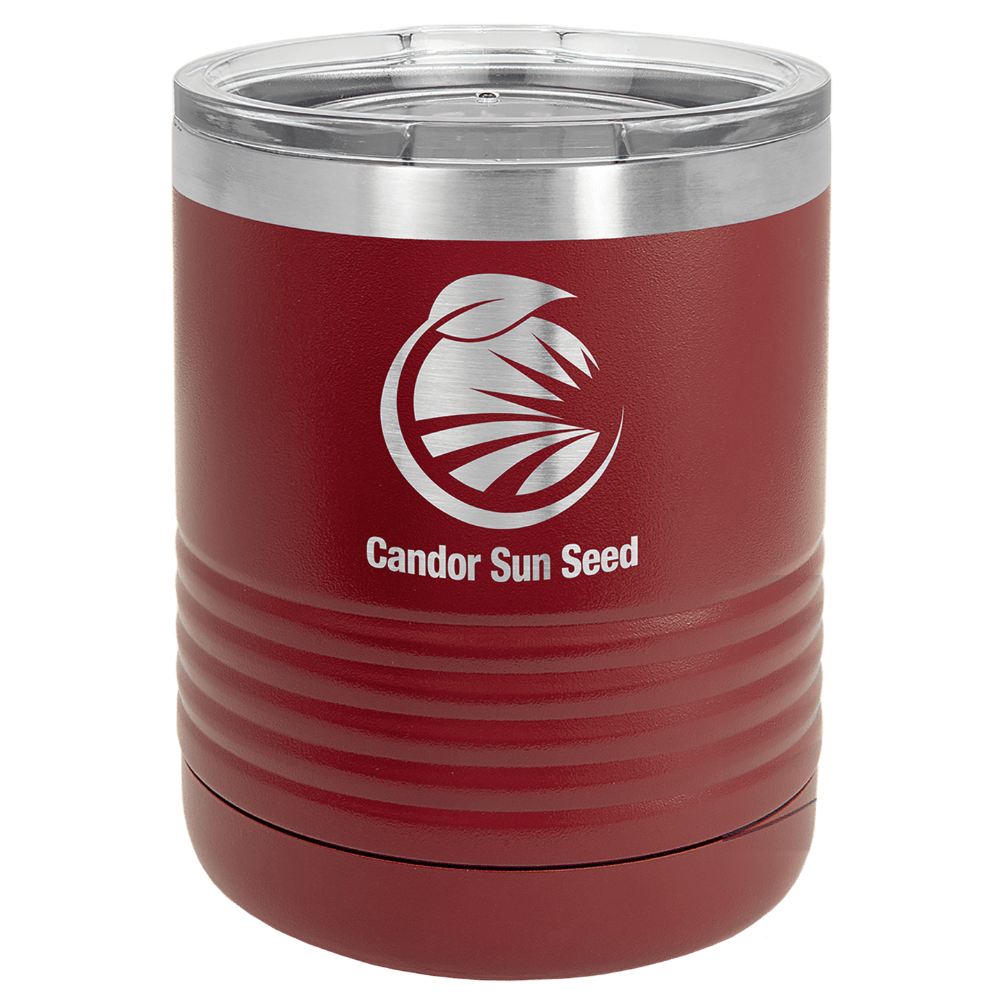 Polar Camel 10 oz. Vacuum Insulated Ringneck Tumbler with Clear Lid